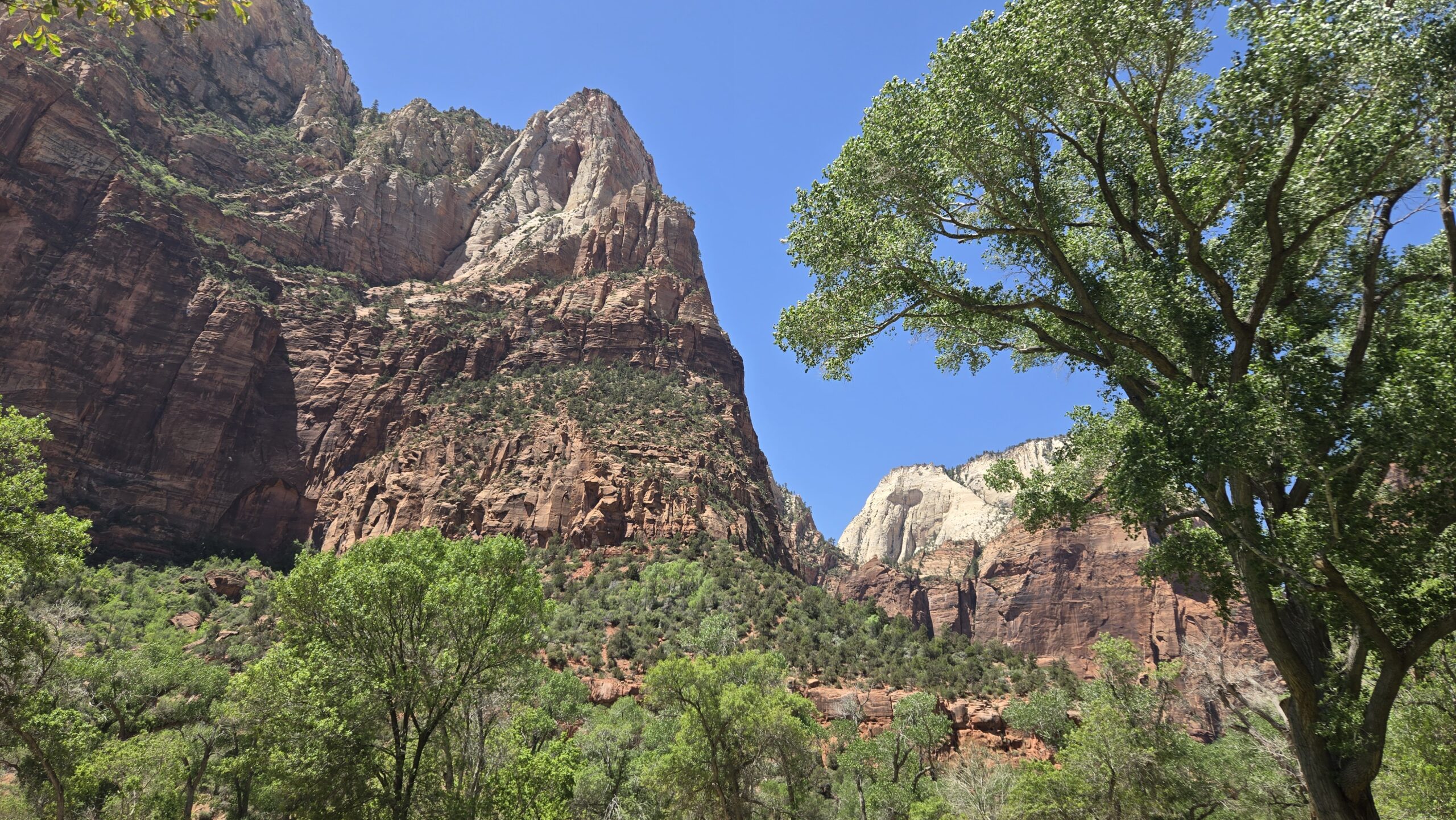 Zion